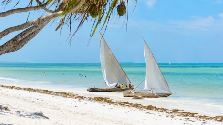 Que faire à Zanzibar ?