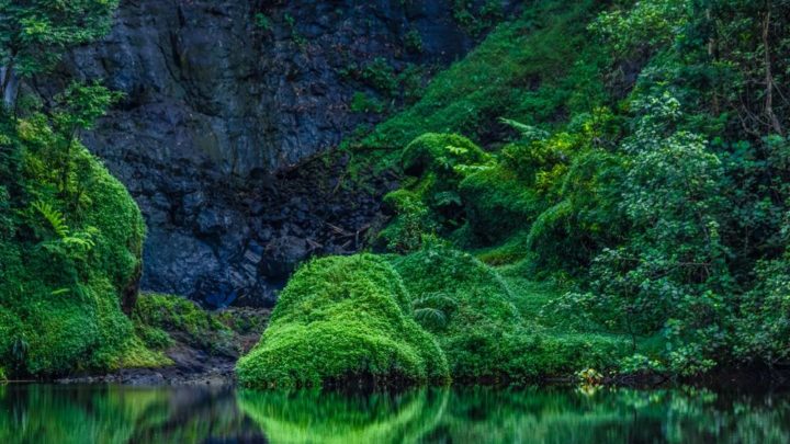 Tahiti : les nombreuses activités à faire sur cette île paradisiaque