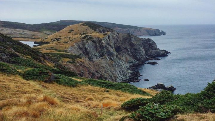 Que faire à Saint-Pierre-et-Miquelon ?