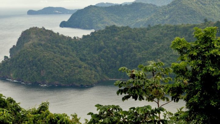 Quelles activités faire et quels lieux voir à Trinidad-et-Tobago ?