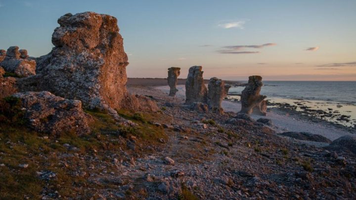 Que faire à Gotland ?